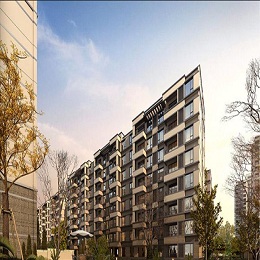 �������@���ͽ������ھ�����