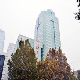 ꖹ��B���ͽ������ھ�����