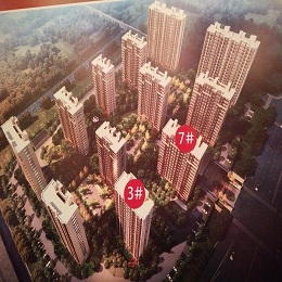 ����|�h֮����ͽ������ھ�����