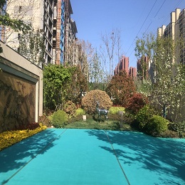 ���טI������ͽ������ھ�����