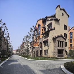 �|���S�_�{���ͽ������ھ�����